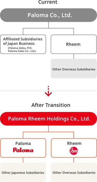  The group structure after the transition to the holding company structure